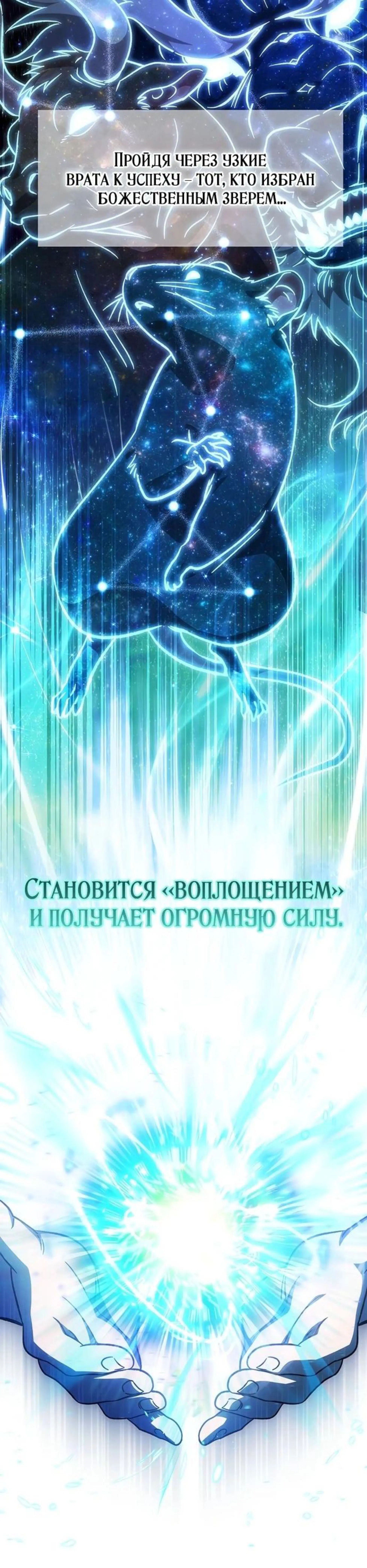 Page 11.002