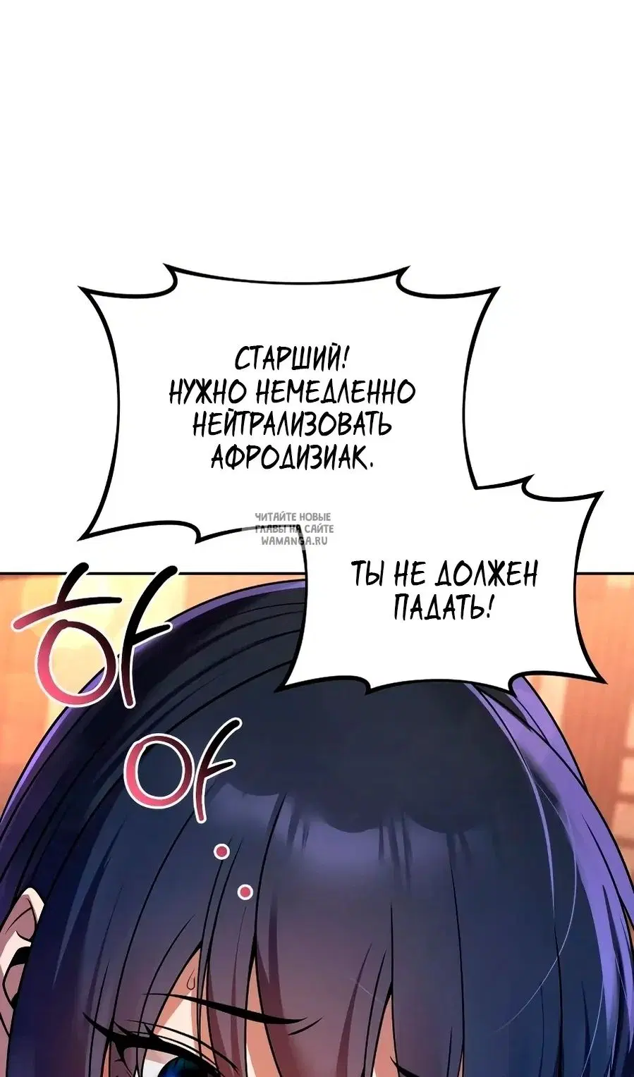Page 51.000