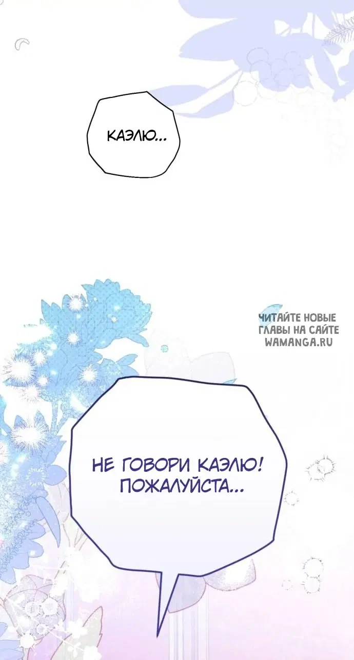 Page 51.000