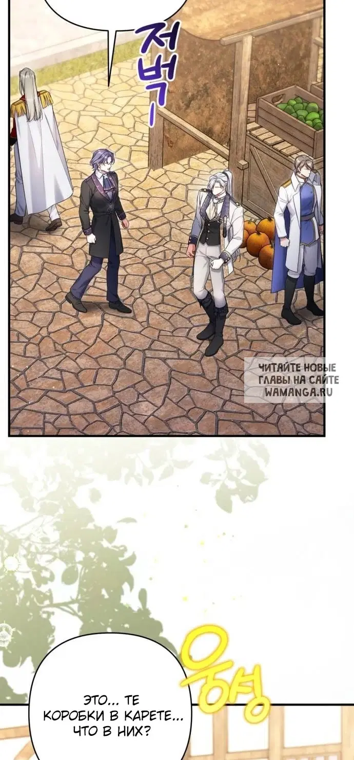 Page 51.000