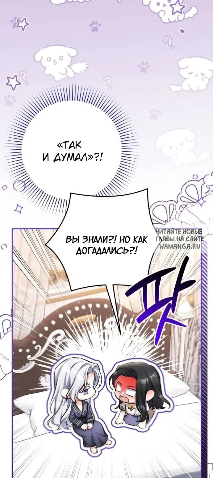 Page 51.000