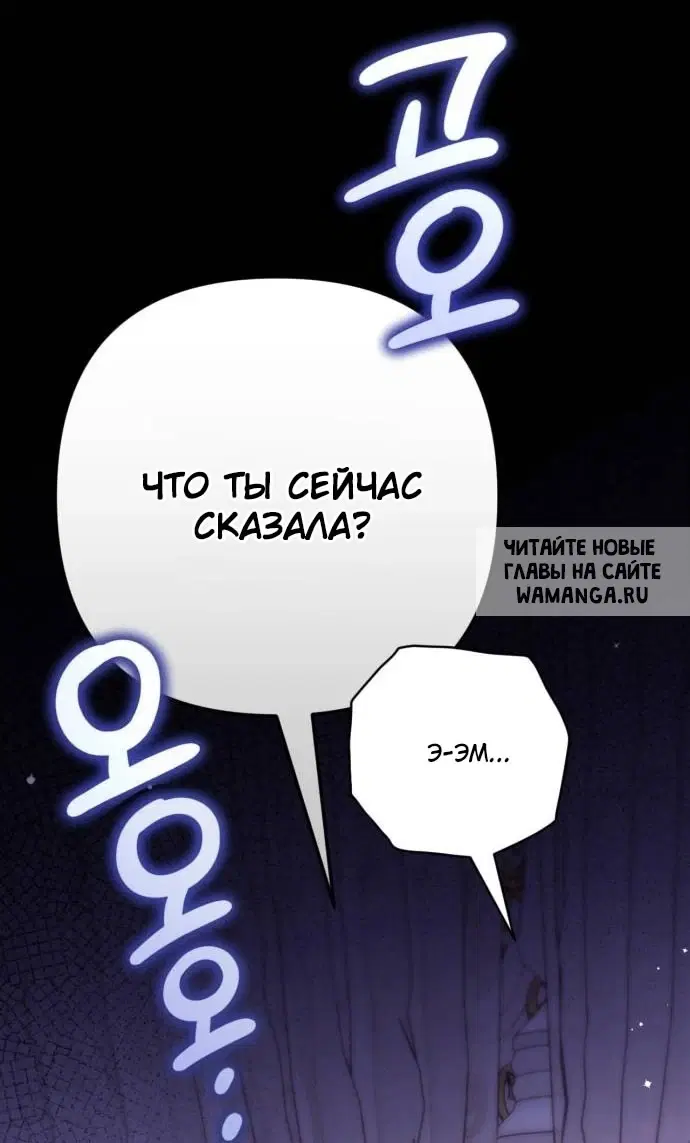 Page 81.000
