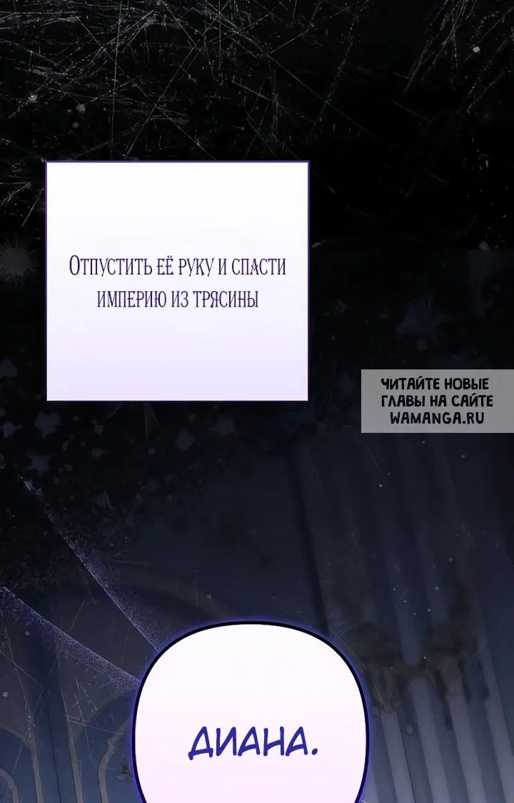 Page 81.000
