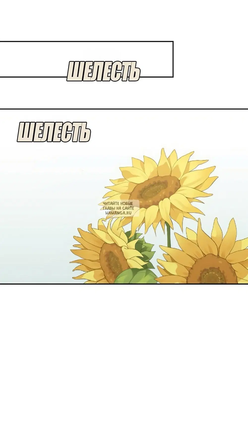 Page 36.000