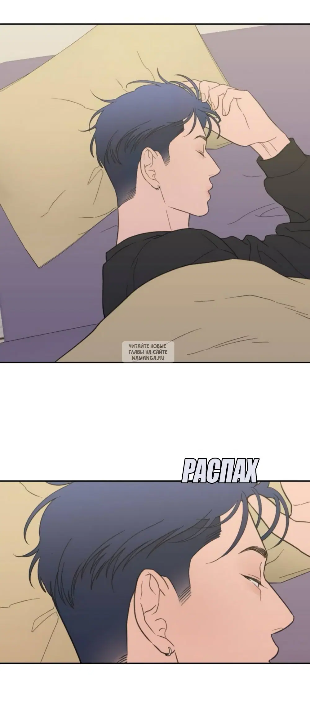 Page 41.000