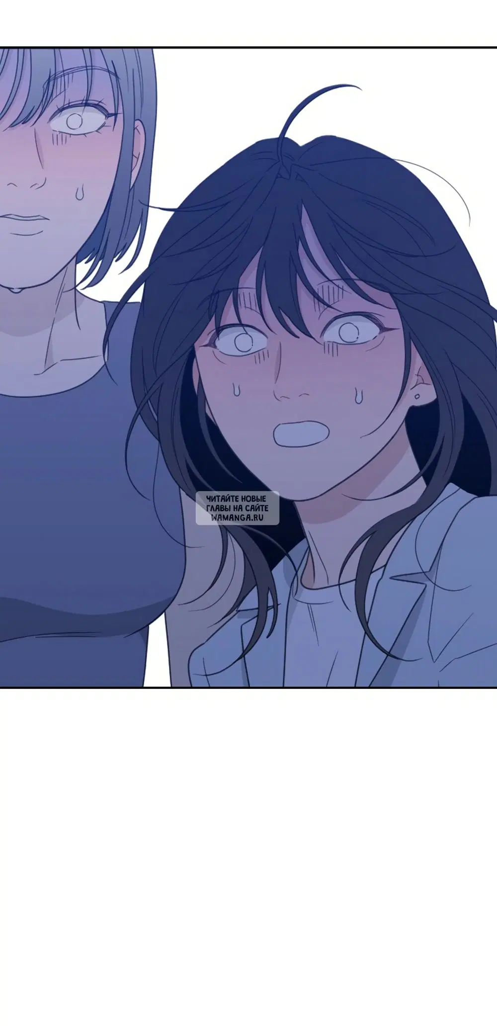Page 51.000