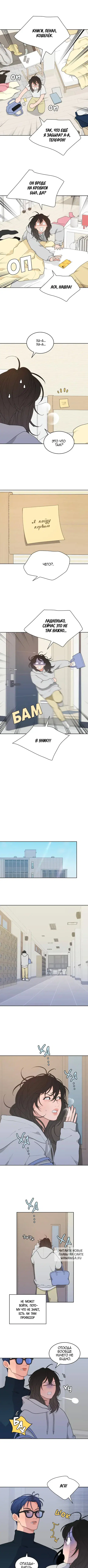 Page 8.000