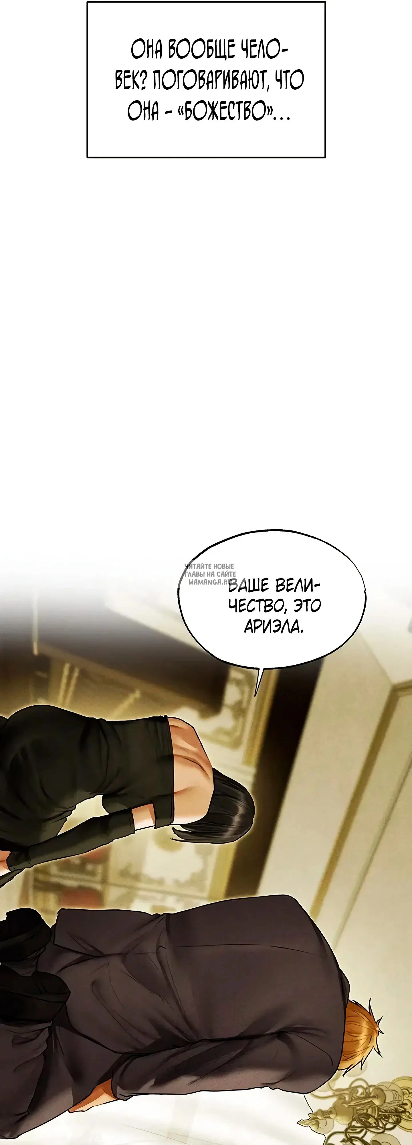 Page 41.000