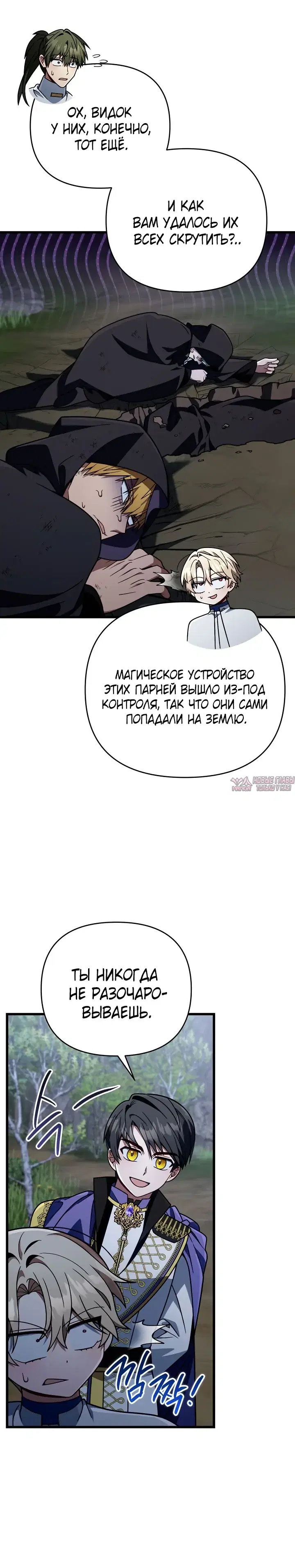 «Я уничтожу эту страну», глава 77, страница 15.000000000