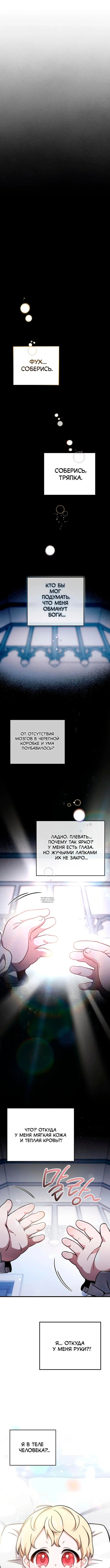 Page 19.000