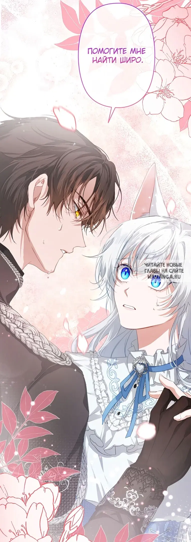 Page 3.000