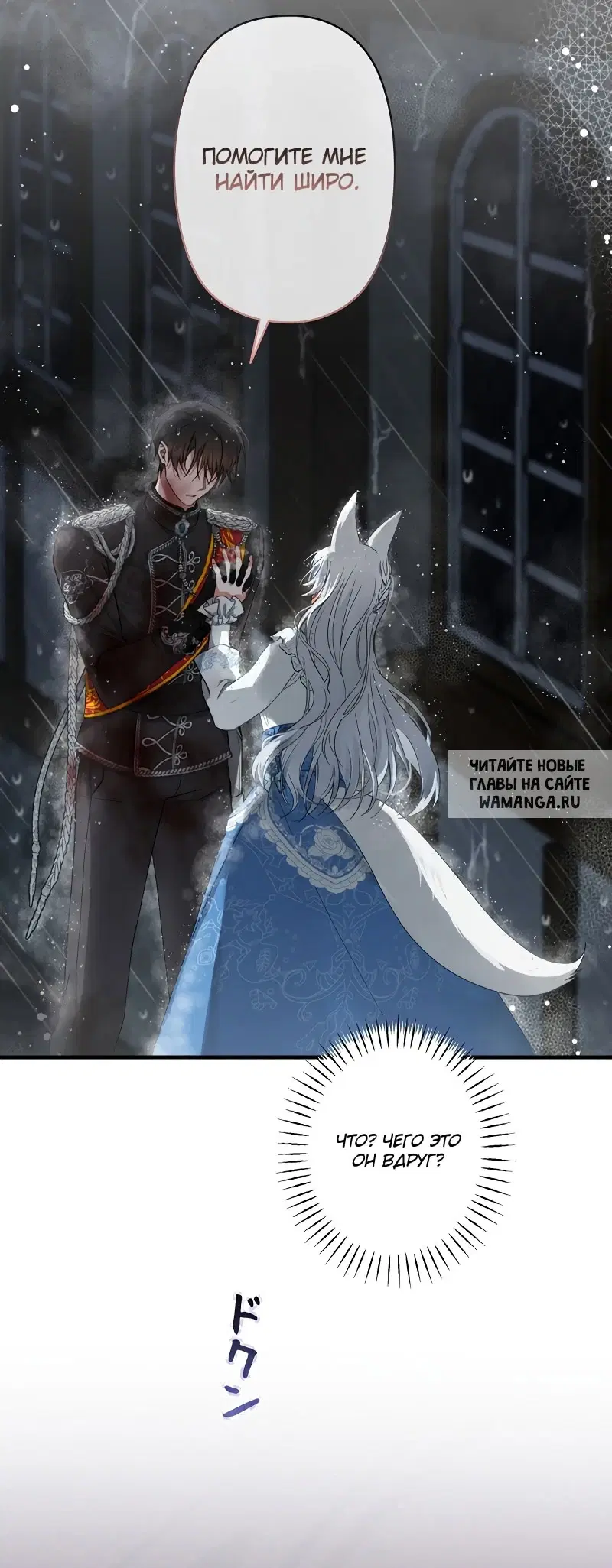 Page 51.000