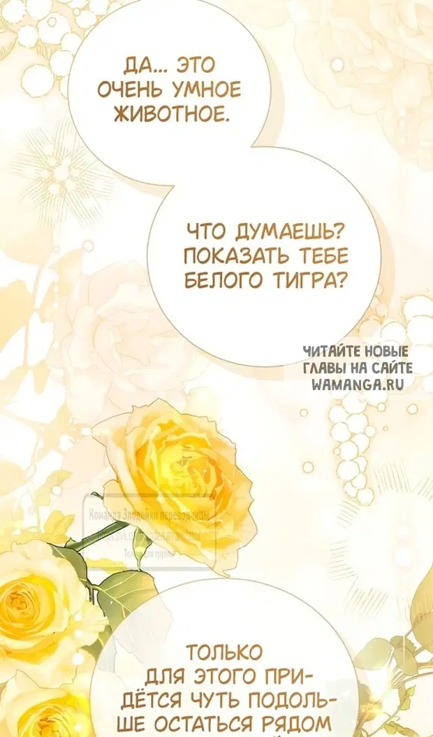 Page 142.000