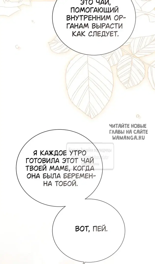 Page 31.000