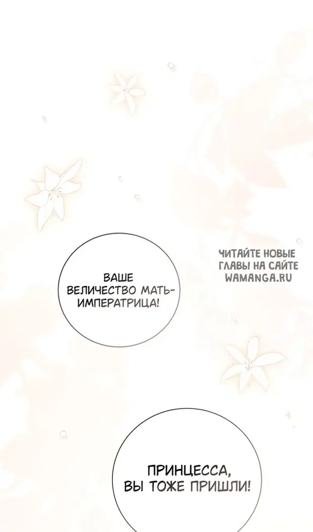 Page 51.000