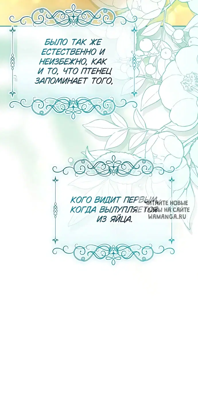 Page 53.000