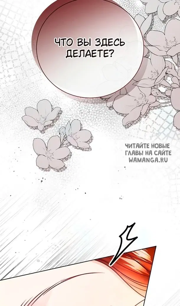 Page 61.000