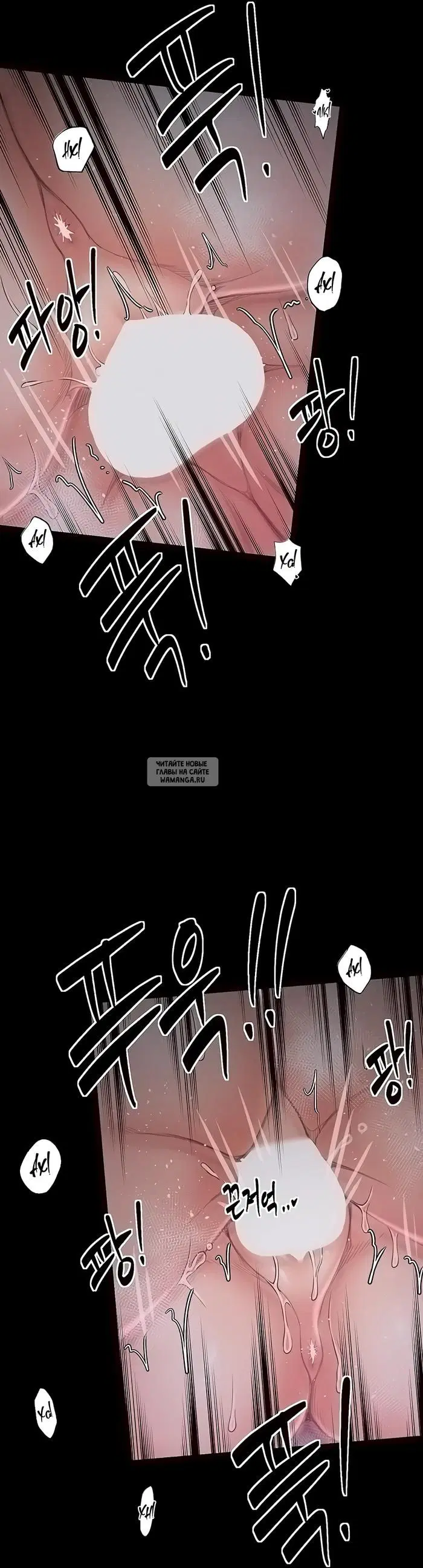 Page 55.000