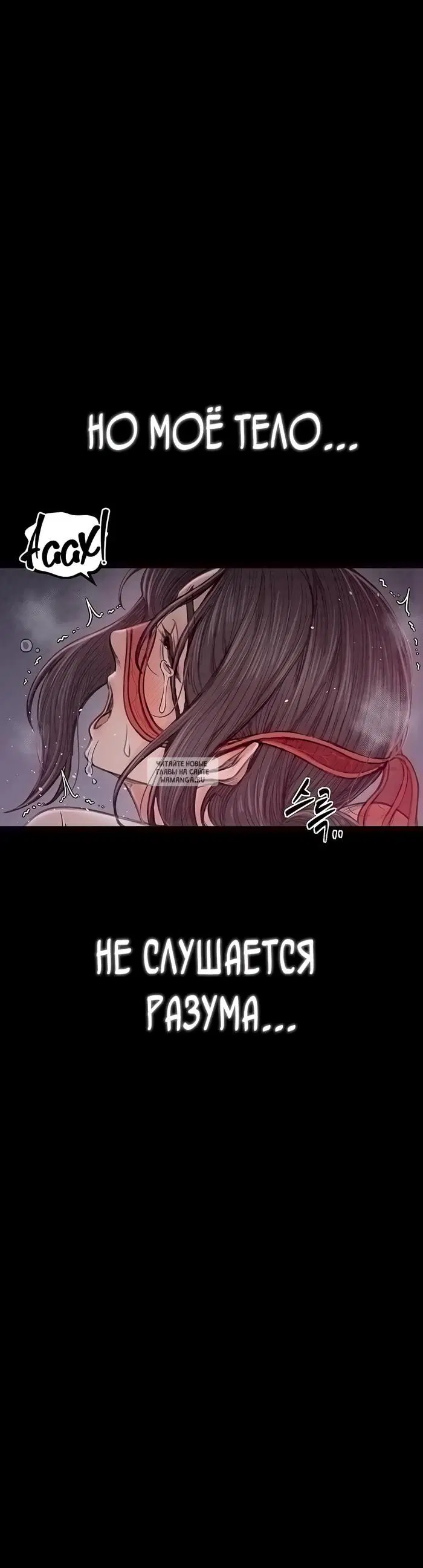 Page 51.000