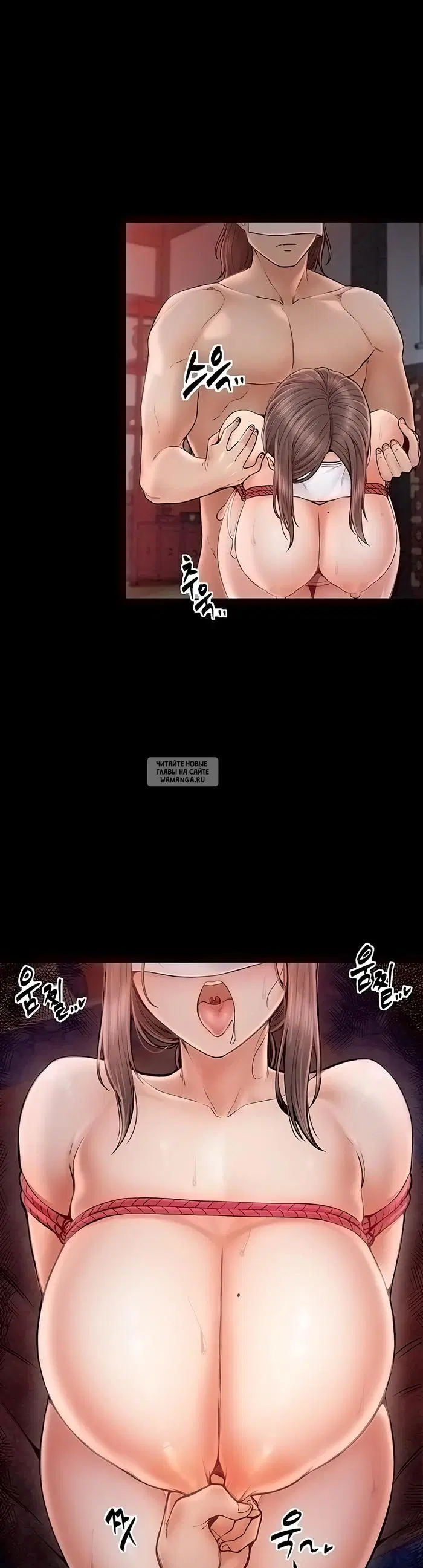 Page 53.000