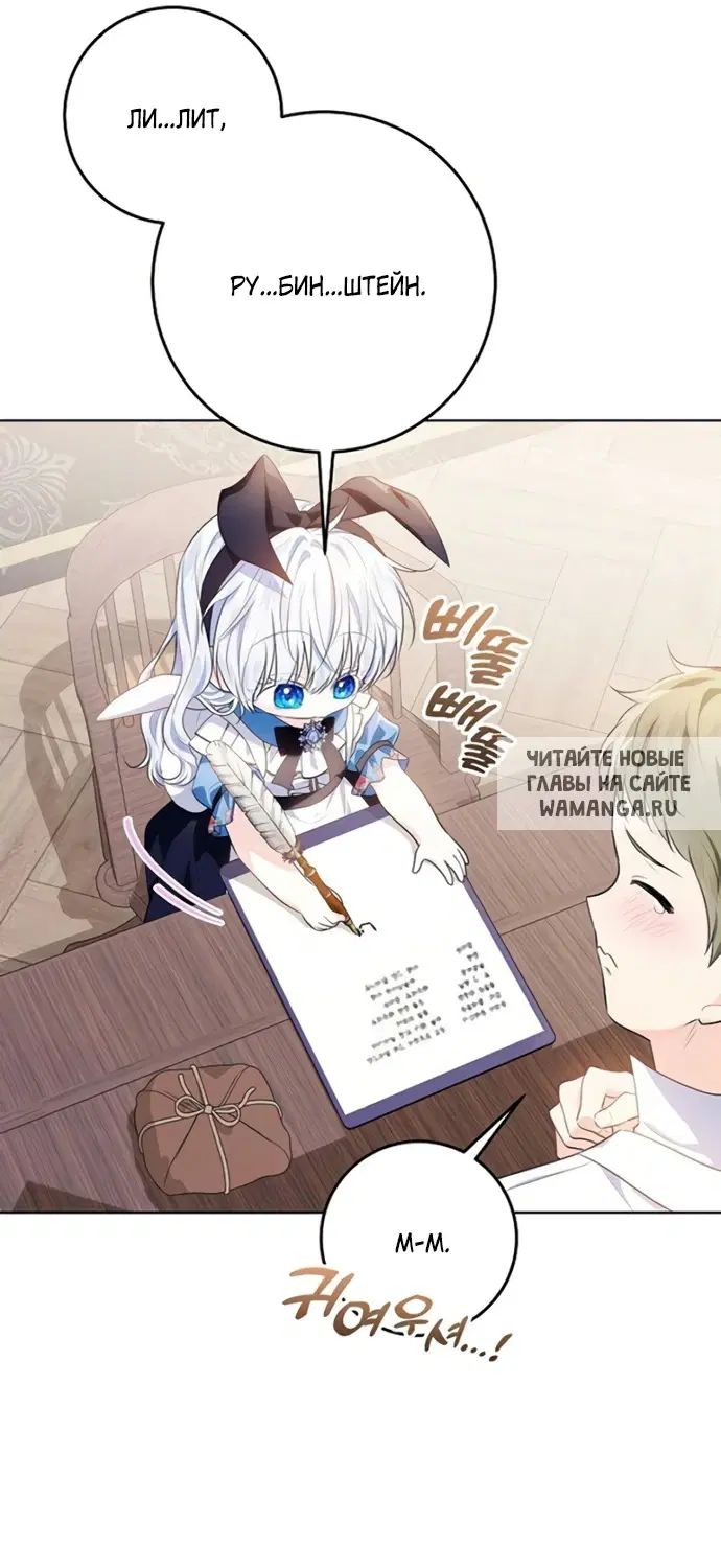 Page 51.000