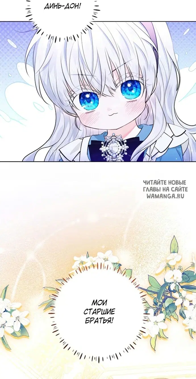 Page 61.000