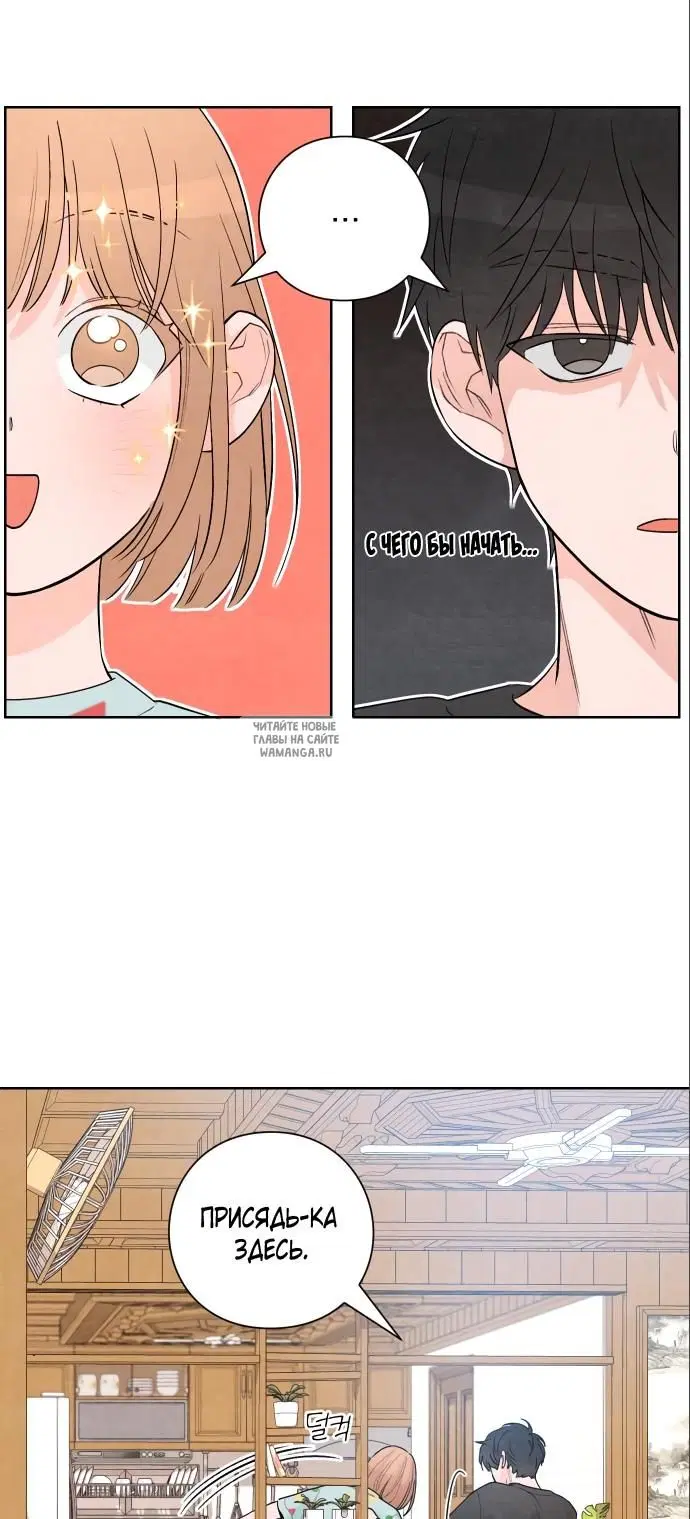 Page 20.000