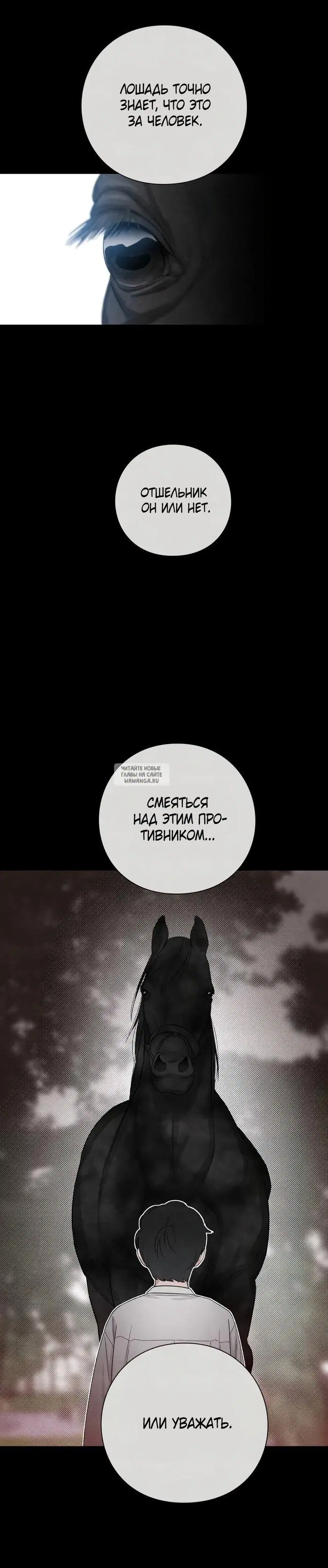 Page 20.000