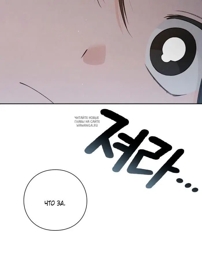 Page 37.000