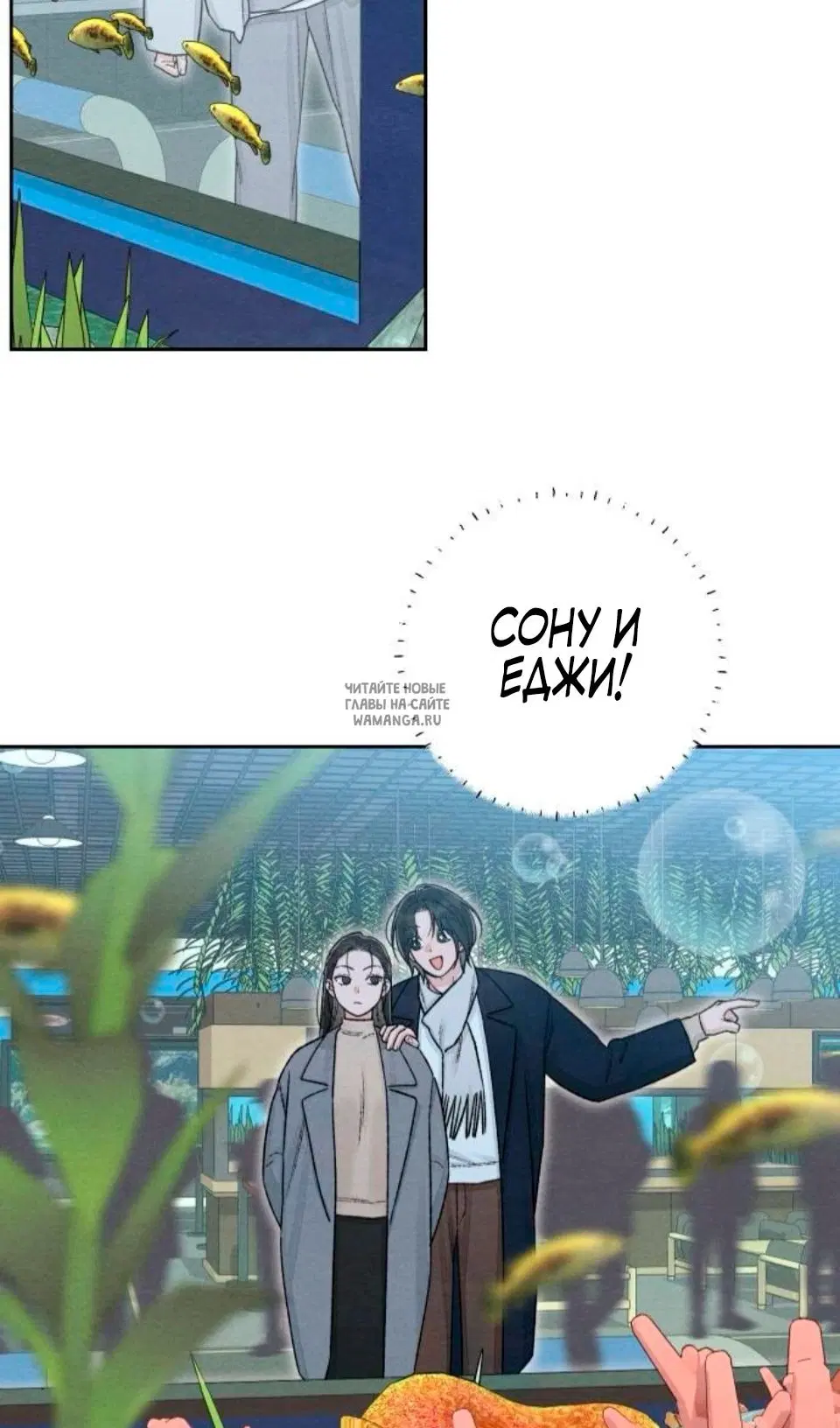 Page 37.000