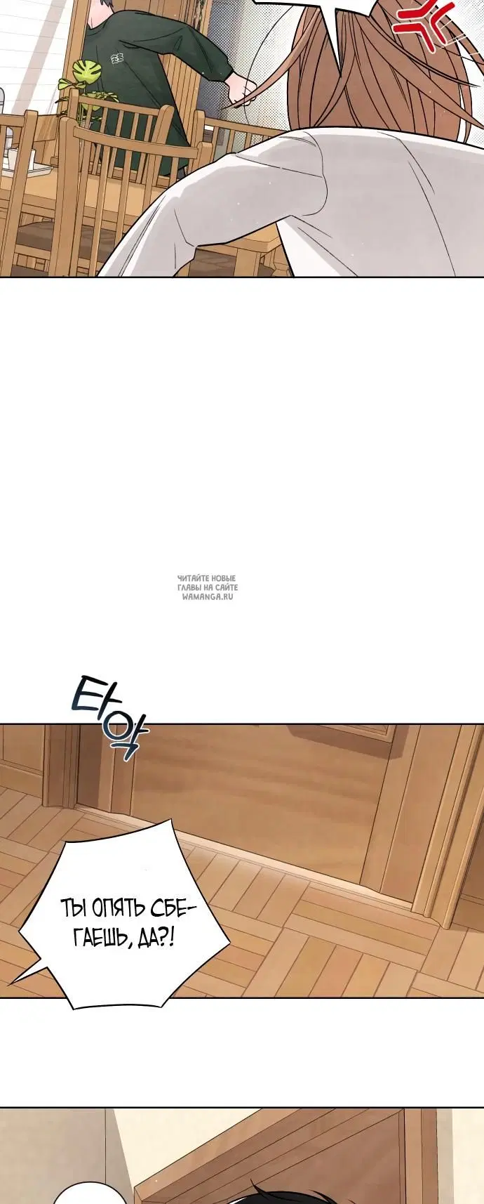 Page 31.000