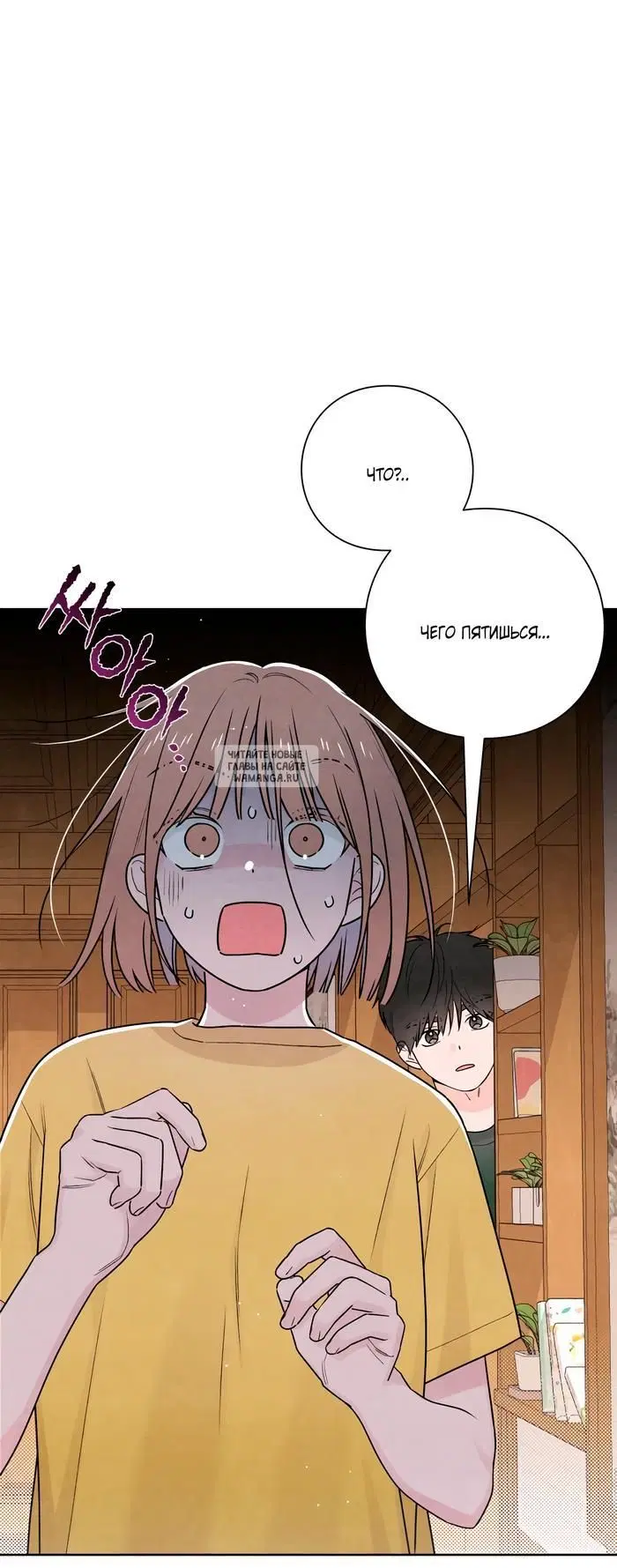 Page 31.000