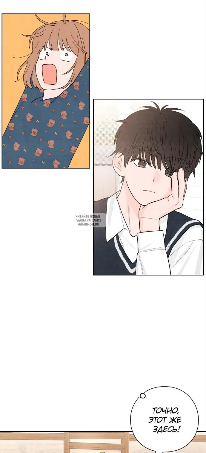 Page 3.000
