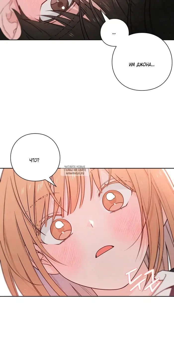 Page 42.000