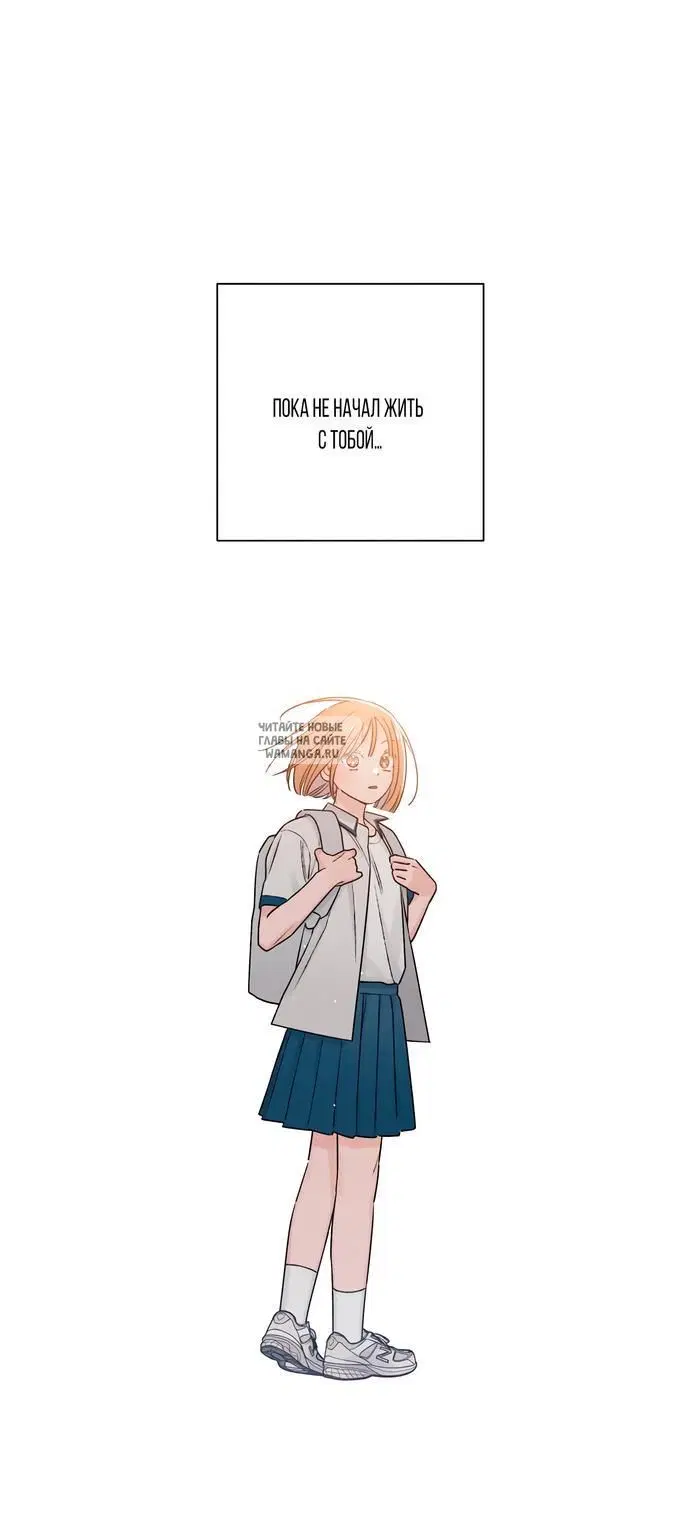 Page 43.000