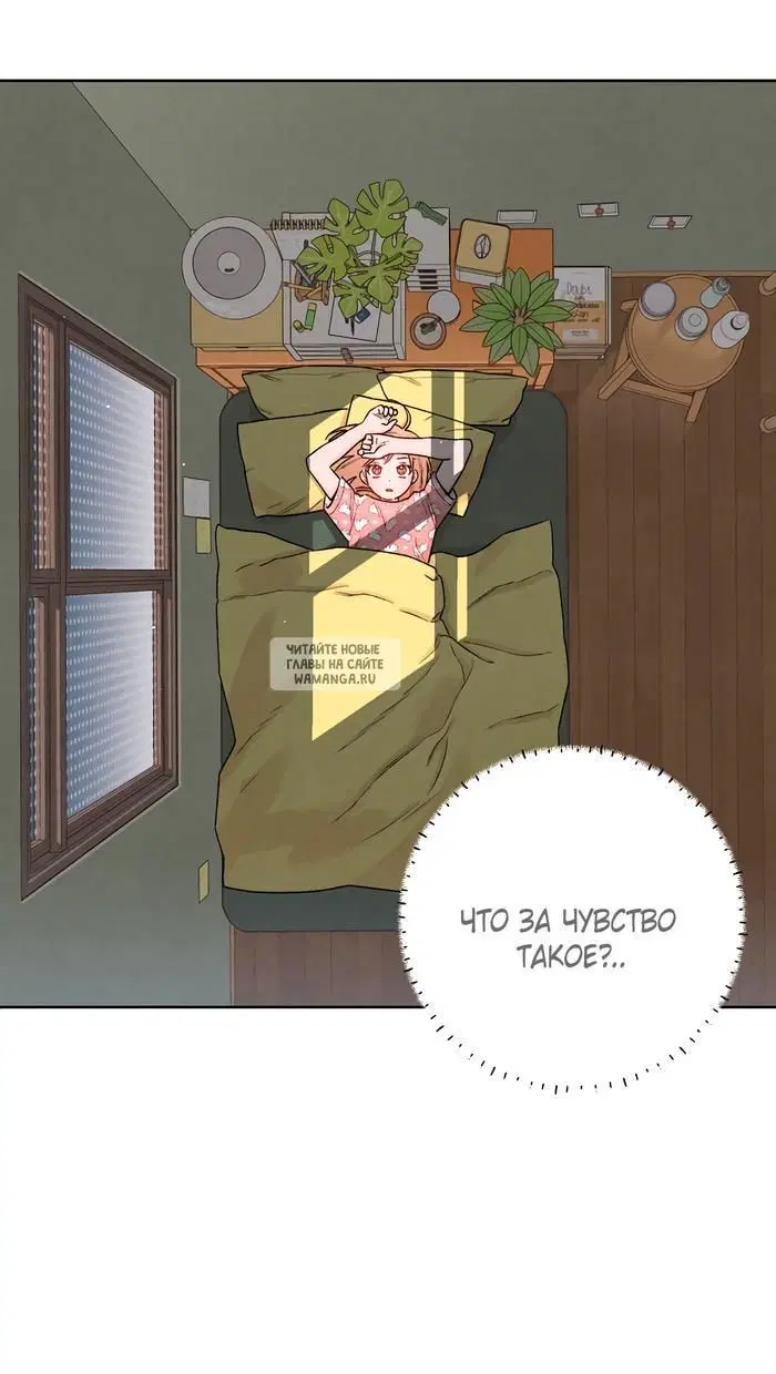 Page 43.000