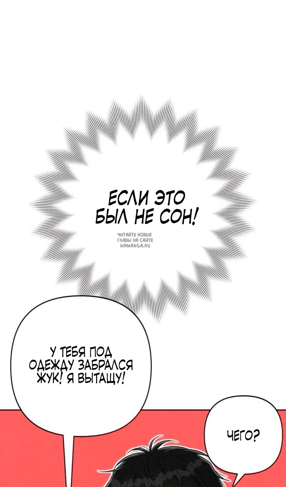Page 54.000