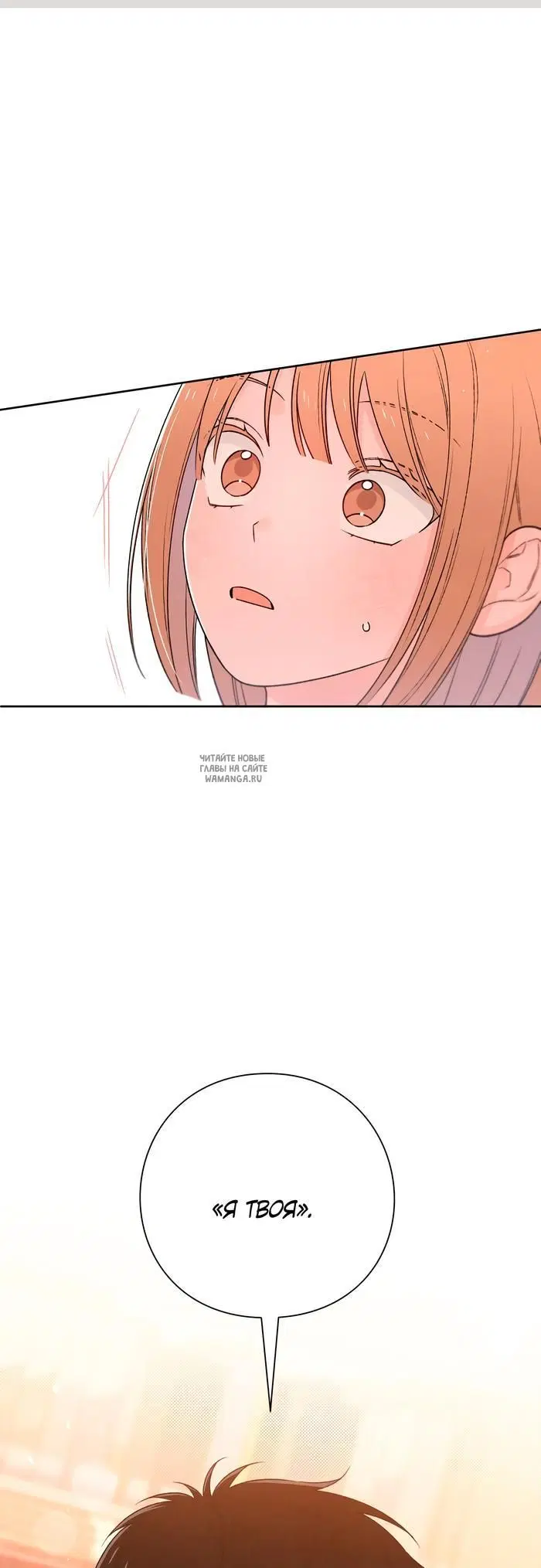Page 53.000