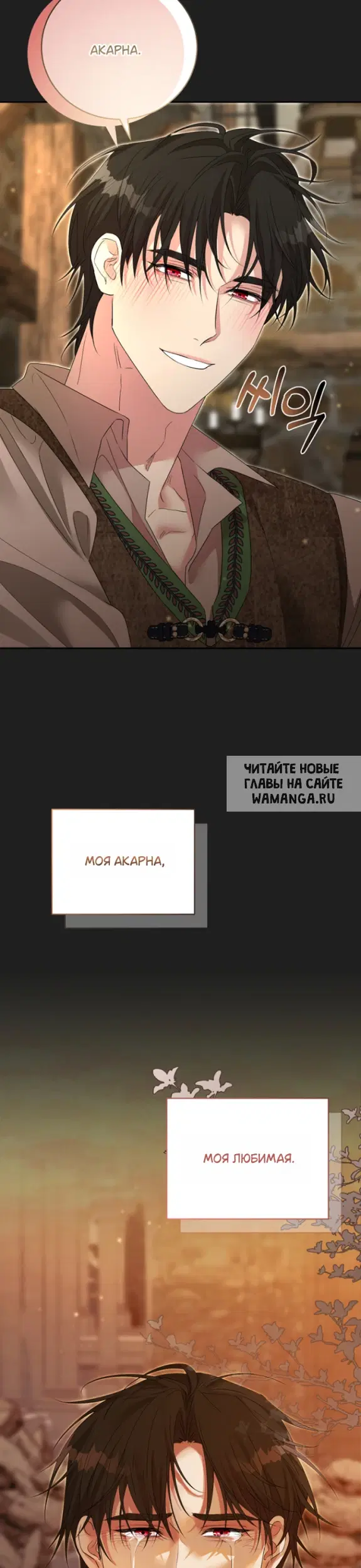 Page 29.000
