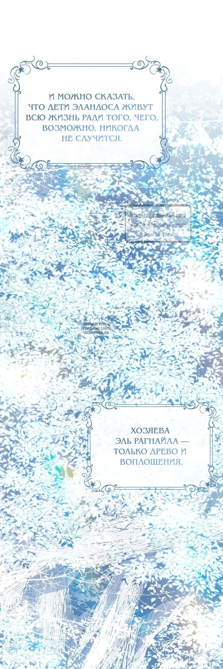 Page 36.000