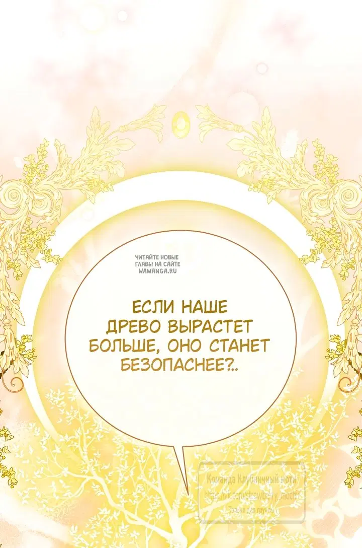Page 36.000