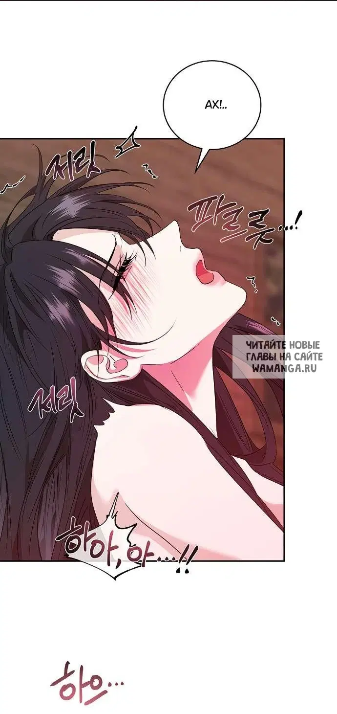 Page 61.000