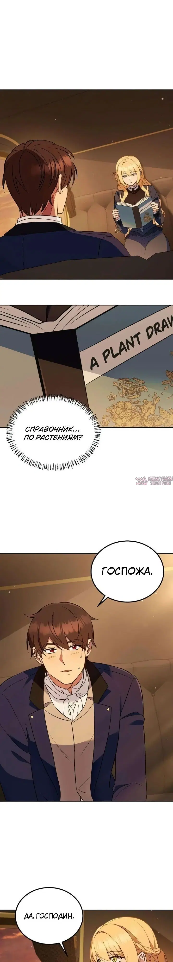Page 31.000000000