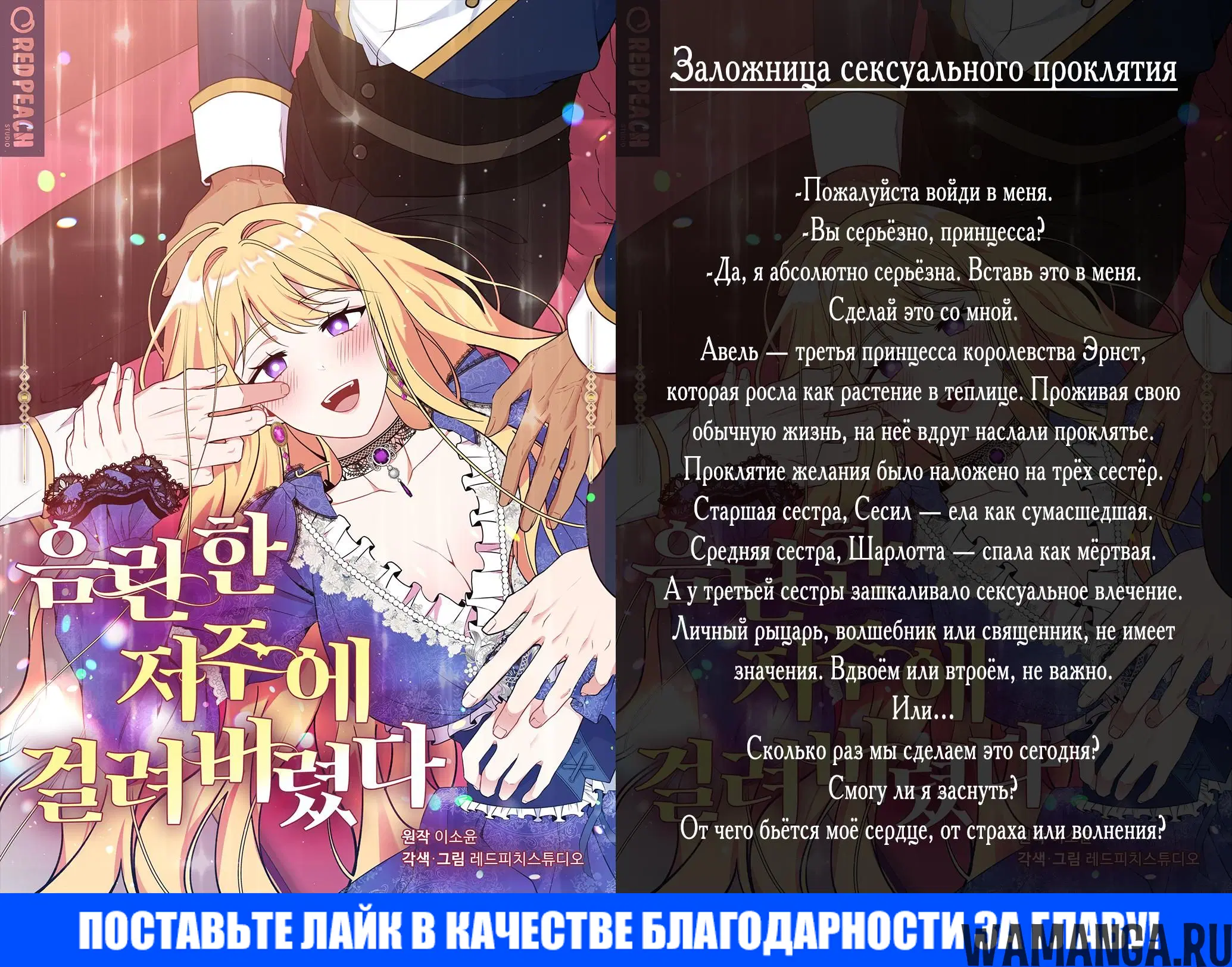 «Маг-целитель: новый старт», глава 60.1, страница 24.000000000