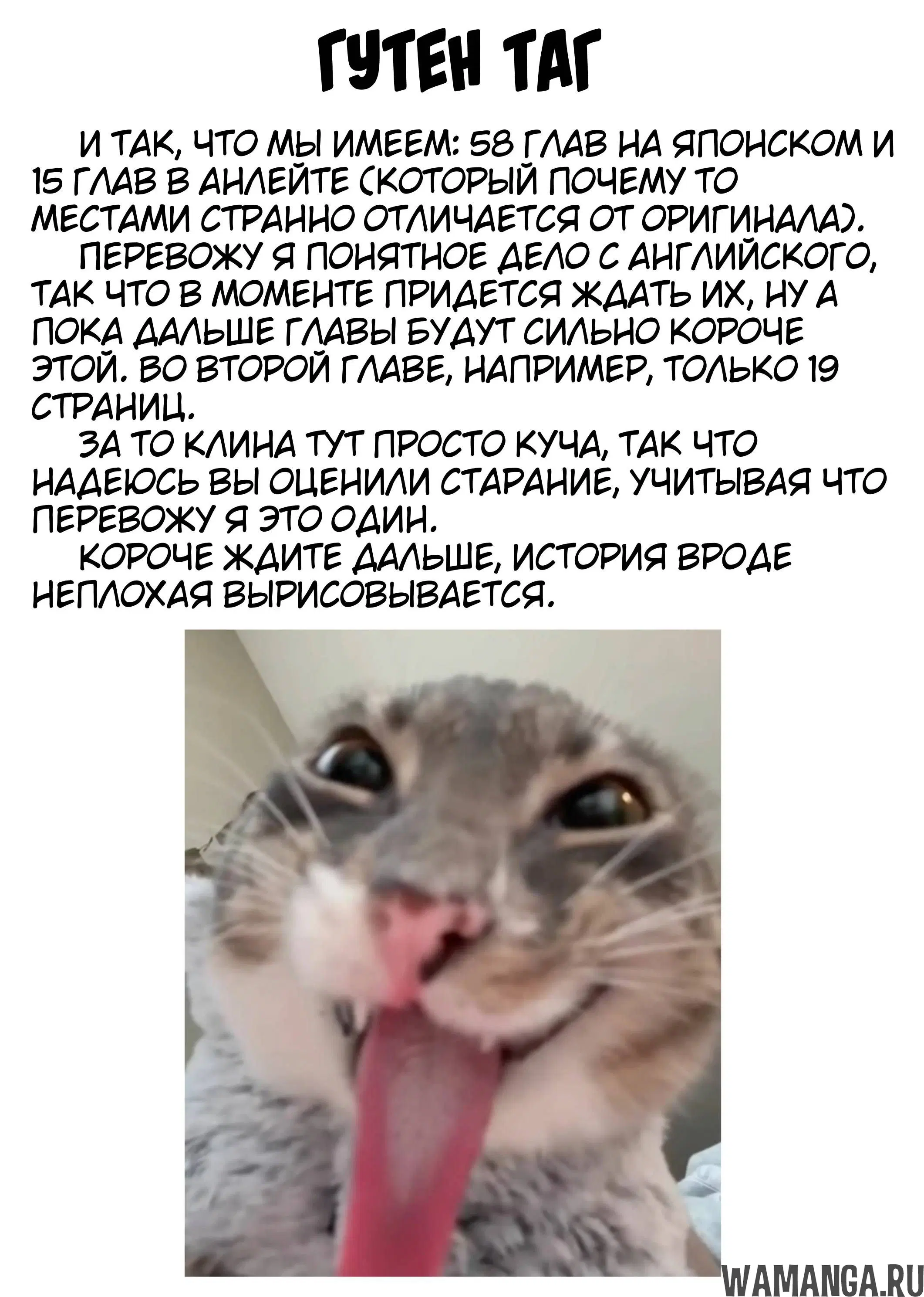 «Орк-полукровка в смешанном мире», глава 1, страница 49.000000000