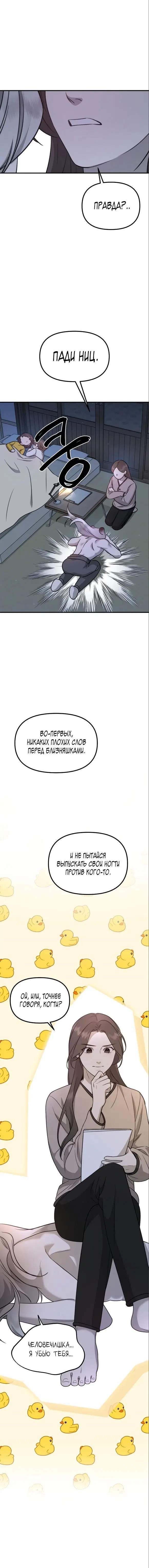 Page 5.001