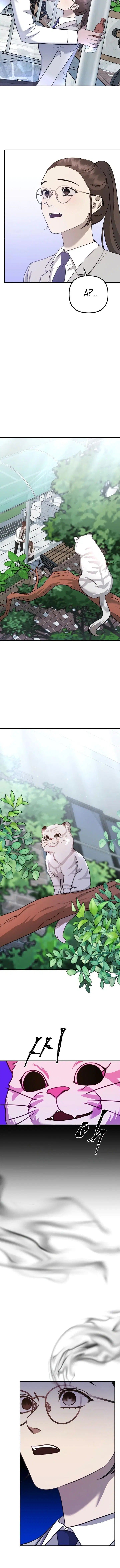 Page 7.001