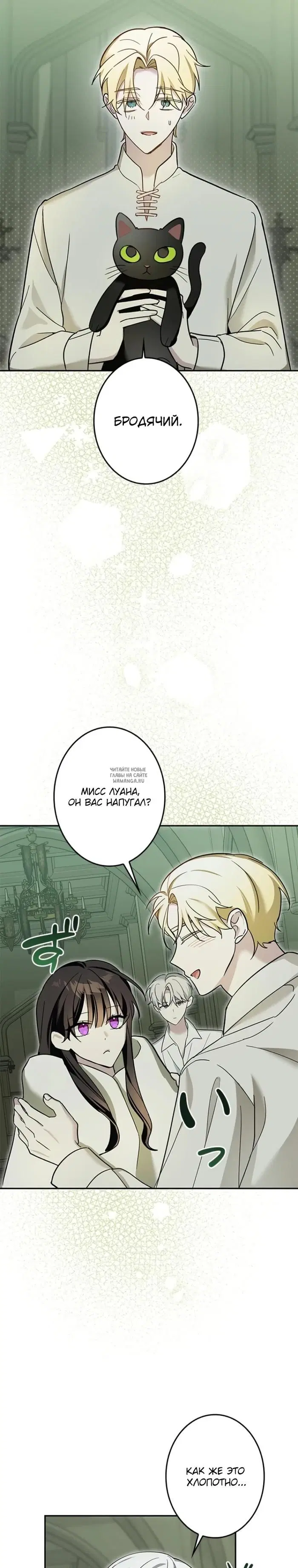 Page 29.000