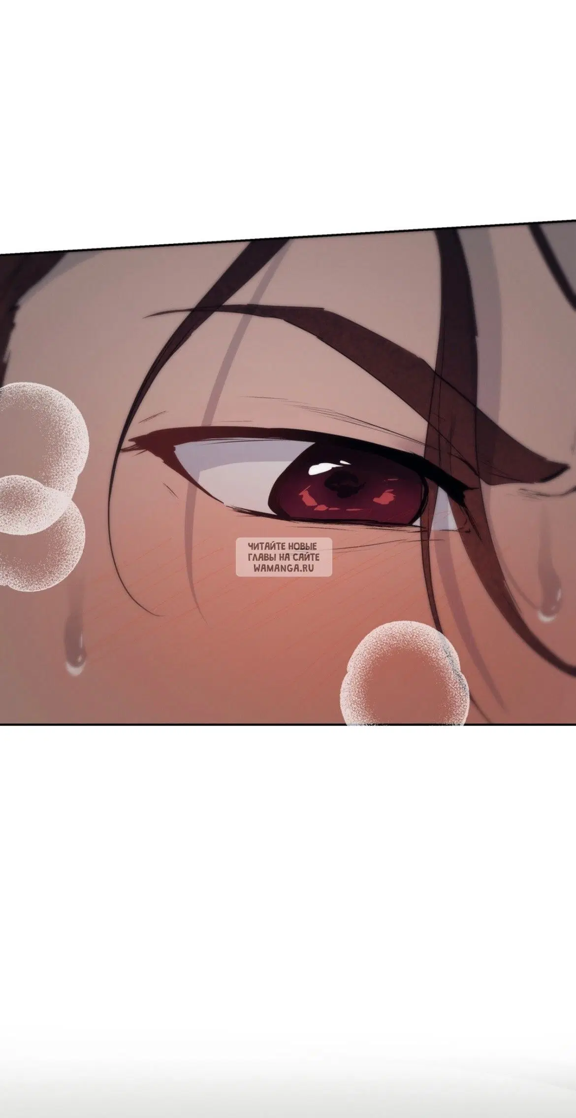 Page 51.000