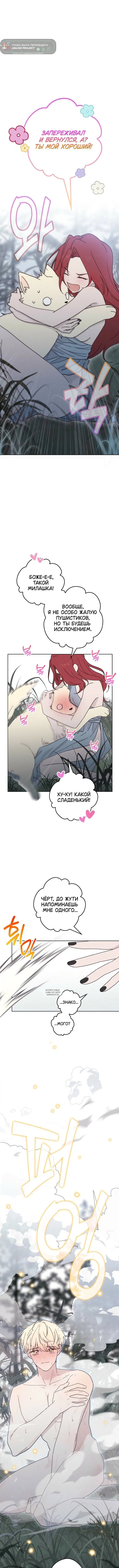 Page 8.000
